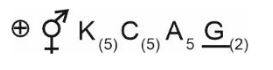 q118_option1.png
