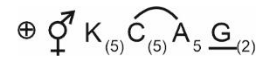 q118_option2.png