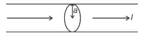 Long straight solid wire cross section